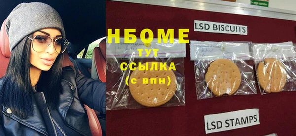 молекула духа Надым